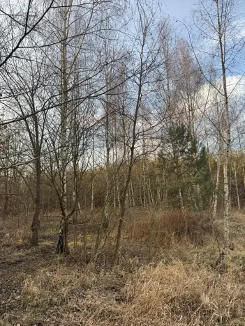 Prodej pozemku, Stéblová, 8147 m2