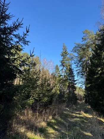 Prodej lesa, Sedlečko u Soběslavě, 6708 m2