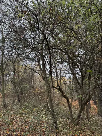 Prodej pozemku, Praha, 9174 m2