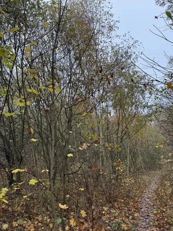 Prodej pozemku, Praha, 9174 m2