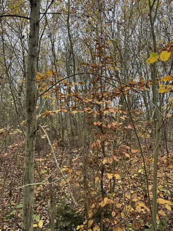 Prodej pozemku, Praha, 9174 m2