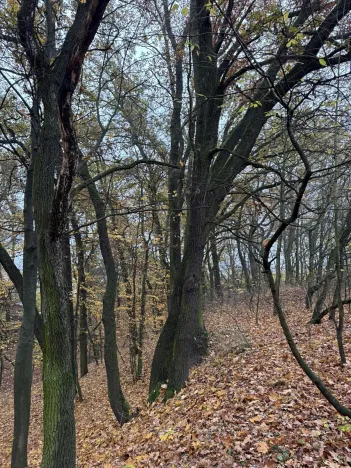 Prodej pozemku, Praha, 9174 m2