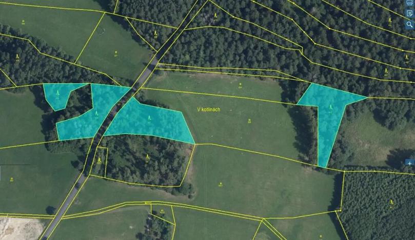 Prodej lesa, Proseč, 7493 m2