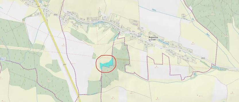 Prodej lesa, Bukovina u Čisté, 12070 m2