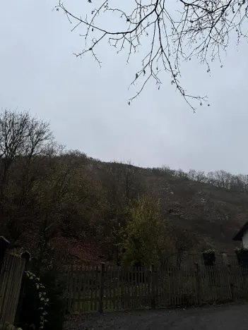 Prodej podílu lesa, Praha, 4596 m2