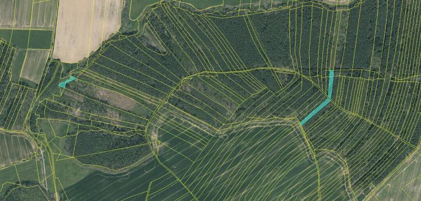 Prodej lesa, Vlastiboř, 3495 m2