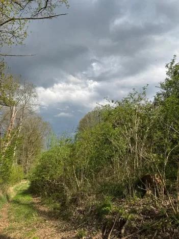 Prodej pozemku, Boršov nad Vltavou, 7673 m2