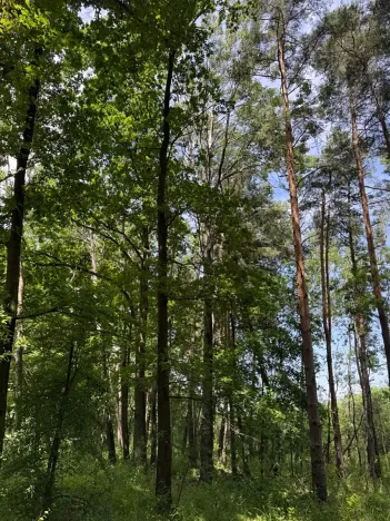 Prodej pozemku, Třeboň, 9529 m2