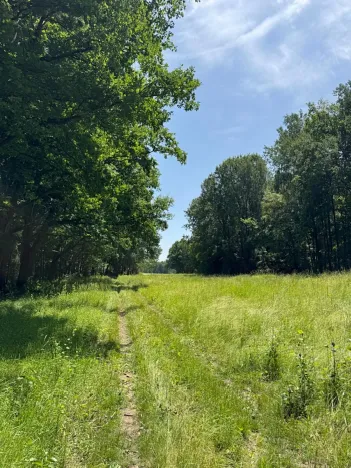 Prodej pozemku, Třeboň, 9529 m2