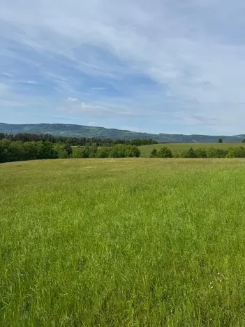 Prodej pozemku, Český Dub, 25179 m2