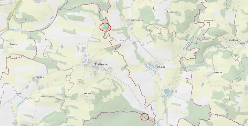 Prodej lesa, Přeštěnice, 4298 m2