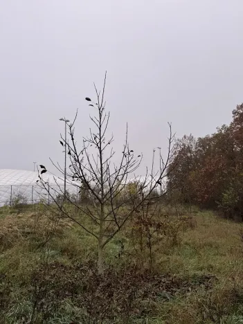 Prodej pozemku, Praha, 14747 m2