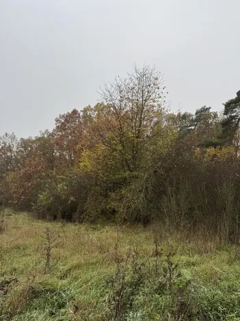 Prodej pozemku, Praha, 14747 m2