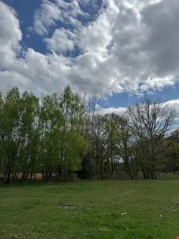 Prodej podílu pozemku, Stříbřec, 5449 m2