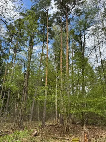 Prodej podílu pozemku, Stříbřec, 5449 m2