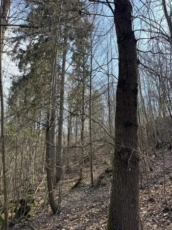 Prodej pozemku, Louňovice pod Blaníkem, 23891 m2