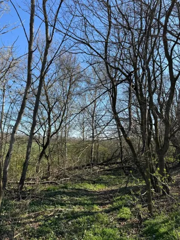 Prodej pozemku, Jevišovice, 7710 m2