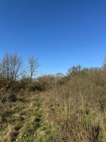 Prodej pozemku, Jevišovice, 7710 m2