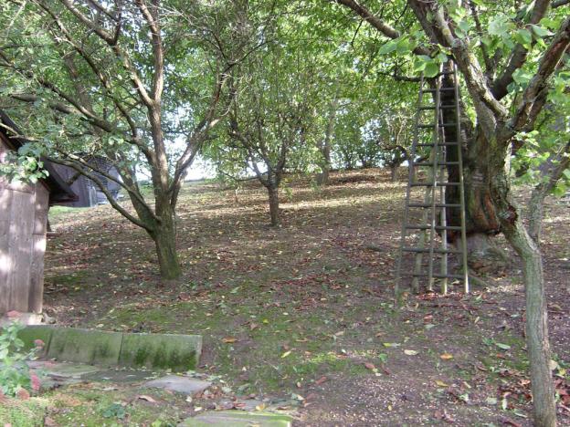 Prodej domu, Vysoké Mýto, 34 m2