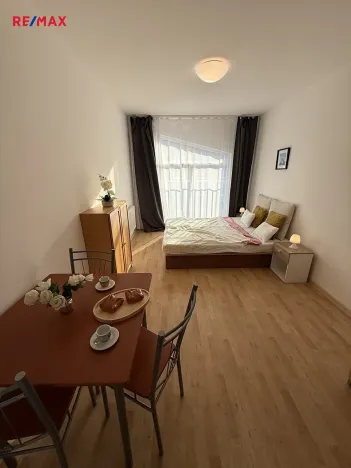 Pronájem bytu 1+kk, Plzeň, Nepomucká, 25 m2