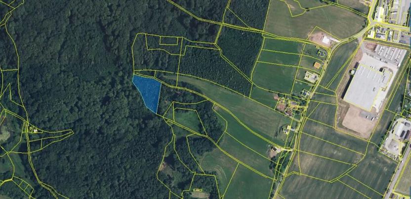 Prodej lesa, Nová Paka, 4999 m2