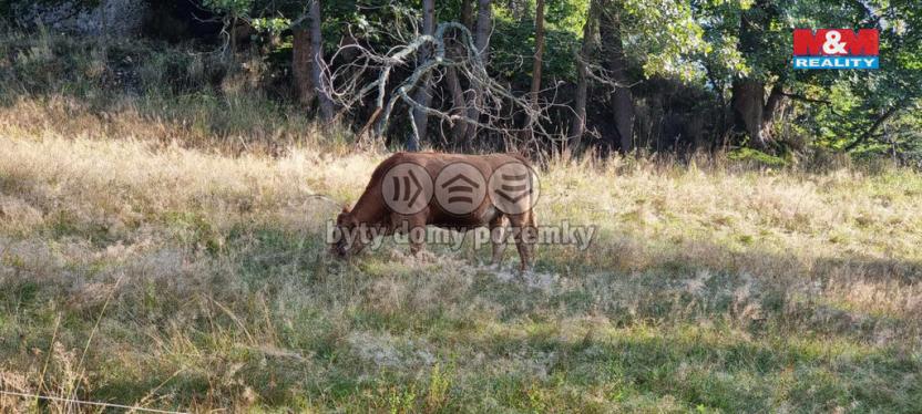 Prodej rodinného domu, Strašín, Lazny, 200 m2