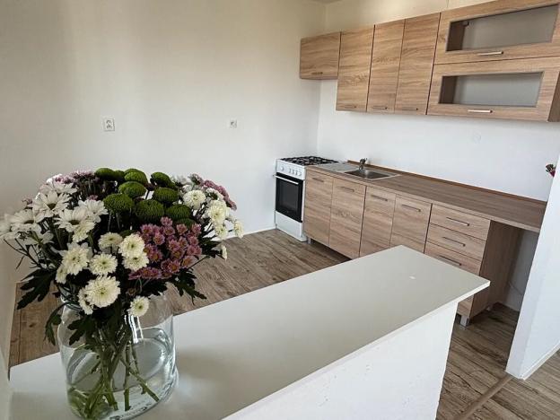Pronájem bytu 3+kk, Frýdek-Místek, Zahradní, 65 m2