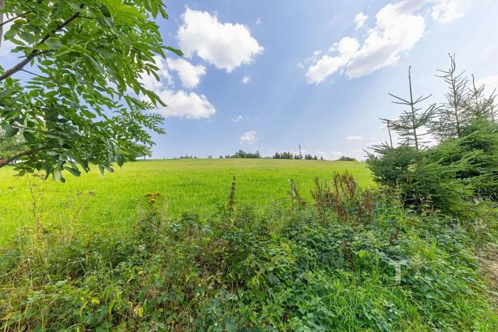 Prodej pozemku pro bydlení, Letovice, 2868 m2