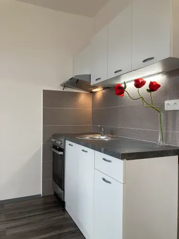 Pronájem bytu 1+1, Chomutov, 17. listopadu, 36 m2