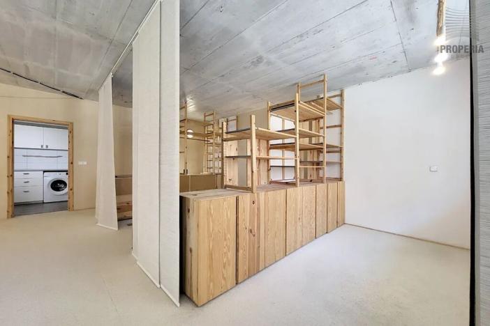 Prodej bytu 1+kk, Brno, Sentická, 68 m2