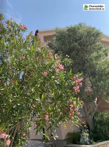 Prodej bytu 3+1, Vidalići, Chorvatsko, 75 m2