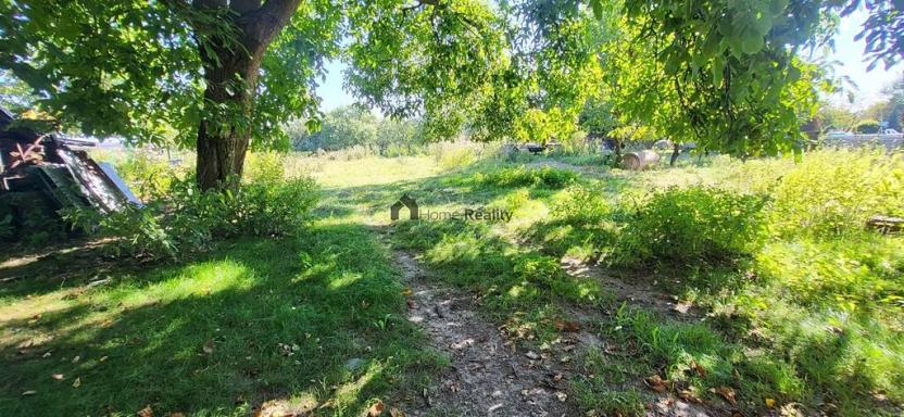 Prodej zemědělské usedlosti, Hladké Životice, Malá Strana, 250 m2