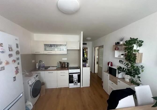 Pronájem bytu 1+1, Plzeň, Manětínská, 40 m2