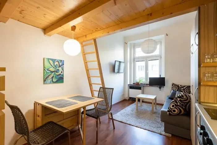 Pronájem bytu 1+kk, Praha - Podolí, Na Zlatnici, 26 m2