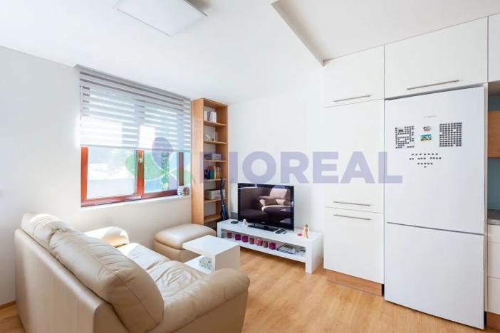 Pronájem bytu 1+kk, Praha - Michle, U michelského mlýna, 33 m2