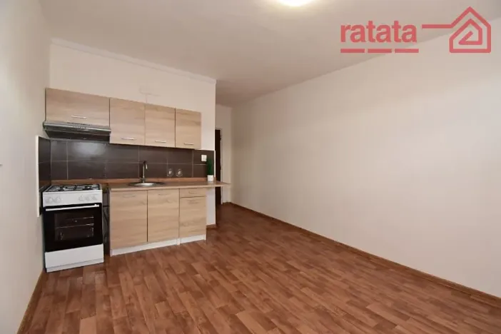 Pronájem bytu 1+1, Chomutov, Písečná, 35 m2