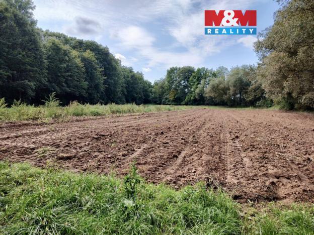 Prodej pole, Libořice, 5882 m2