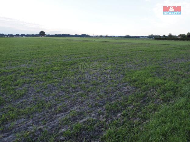 Prodej pole, Olomouc - Hodolany, 858 m2