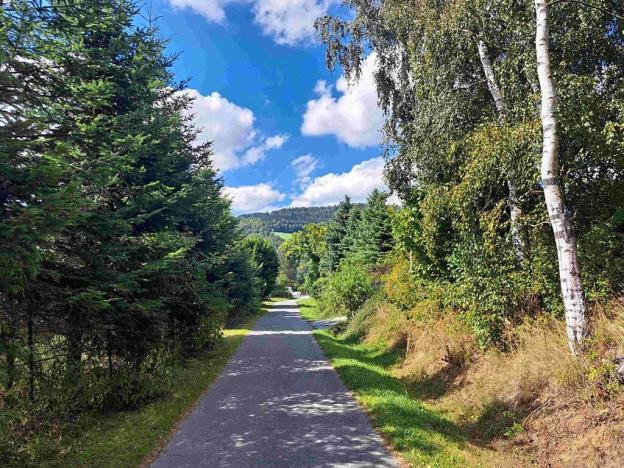 Prodej pozemku pro bydlení, Loučná nad Desnou, 1123 m2