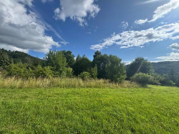 Prodej pozemku pro bydlení, Loučná nad Desnou, 1123 m2