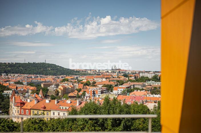 Pronájem bytu 5+kk, Praha - Nusle, Na Bučance, 173 m2