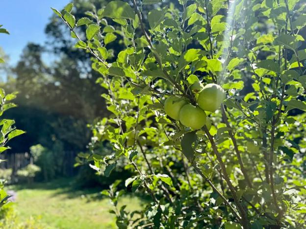 Prodej chaty, Hrob, 25 m2