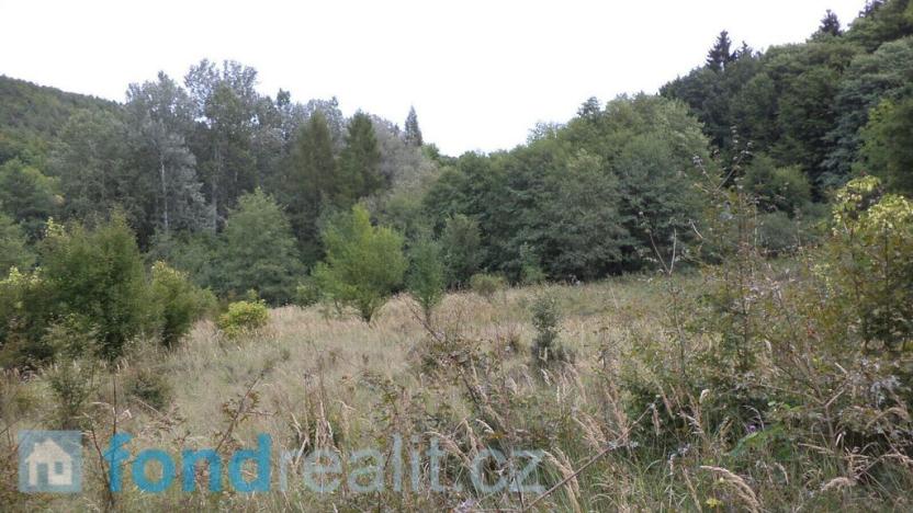 Prodej pozemku, Traplice, 19641 m2