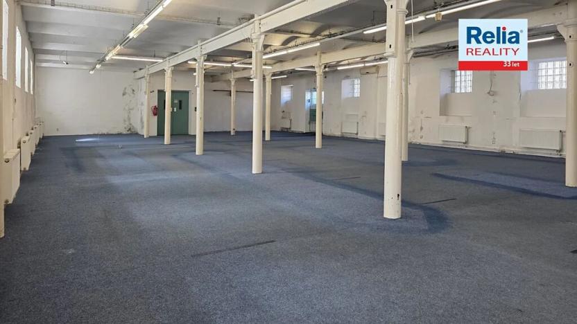 Pronájem obchodního prostoru, Liberec, Dr. Milady Horákové, 610 m2