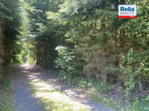 Prodej ubytování, Lučany nad Nisou, 520 m2