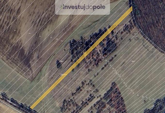 Prodej louky, Pašovice, 2946 m2