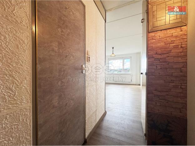 Pronájem bytu 1+kk, Karlovy Vary - Rybáře, U Koupaliště, 25 m2