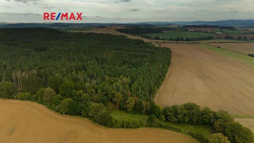 Prodej lesa, Všehrdy, 35057 m2