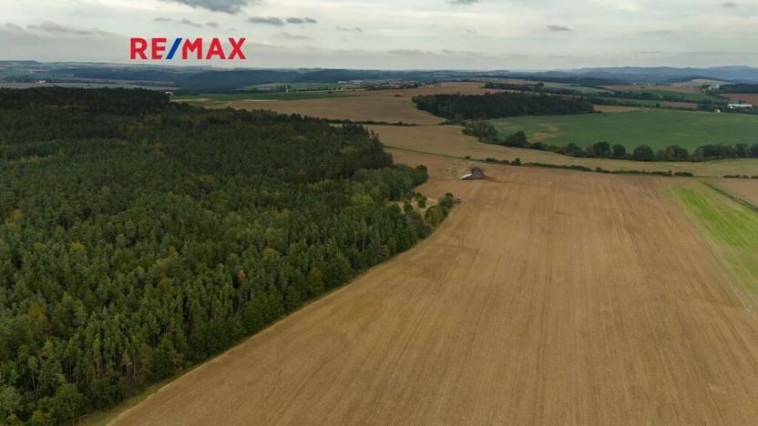 Prodej lesa, Všehrdy, 35057 m2