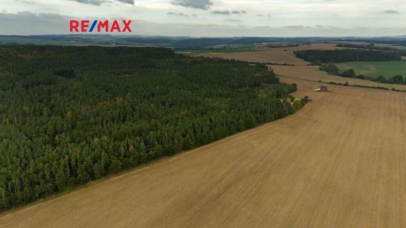 Prodej lesa, Všehrdy, 35057 m2